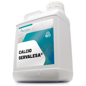 CALCIO-SERVALESA-5L