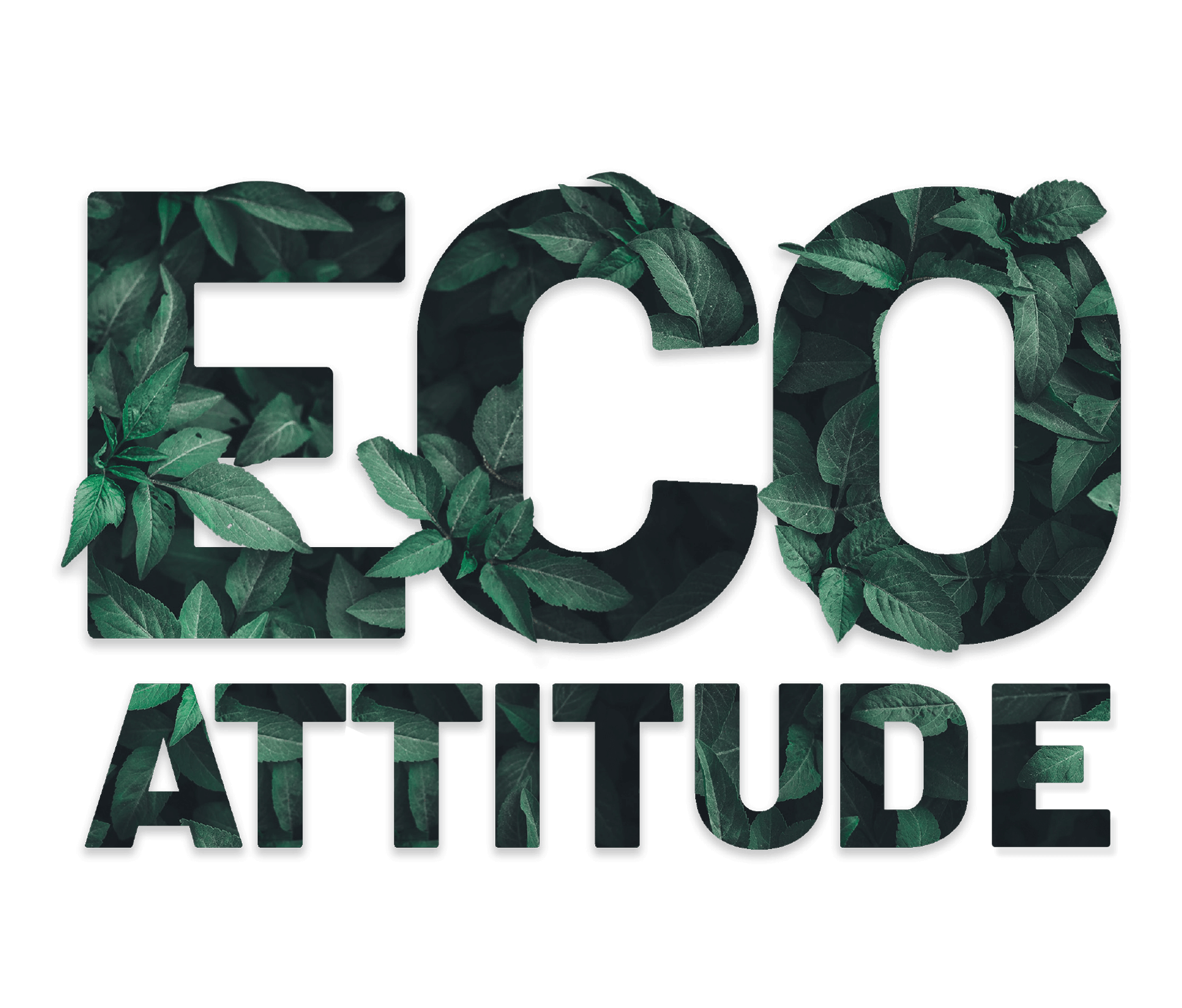 ecoattitude