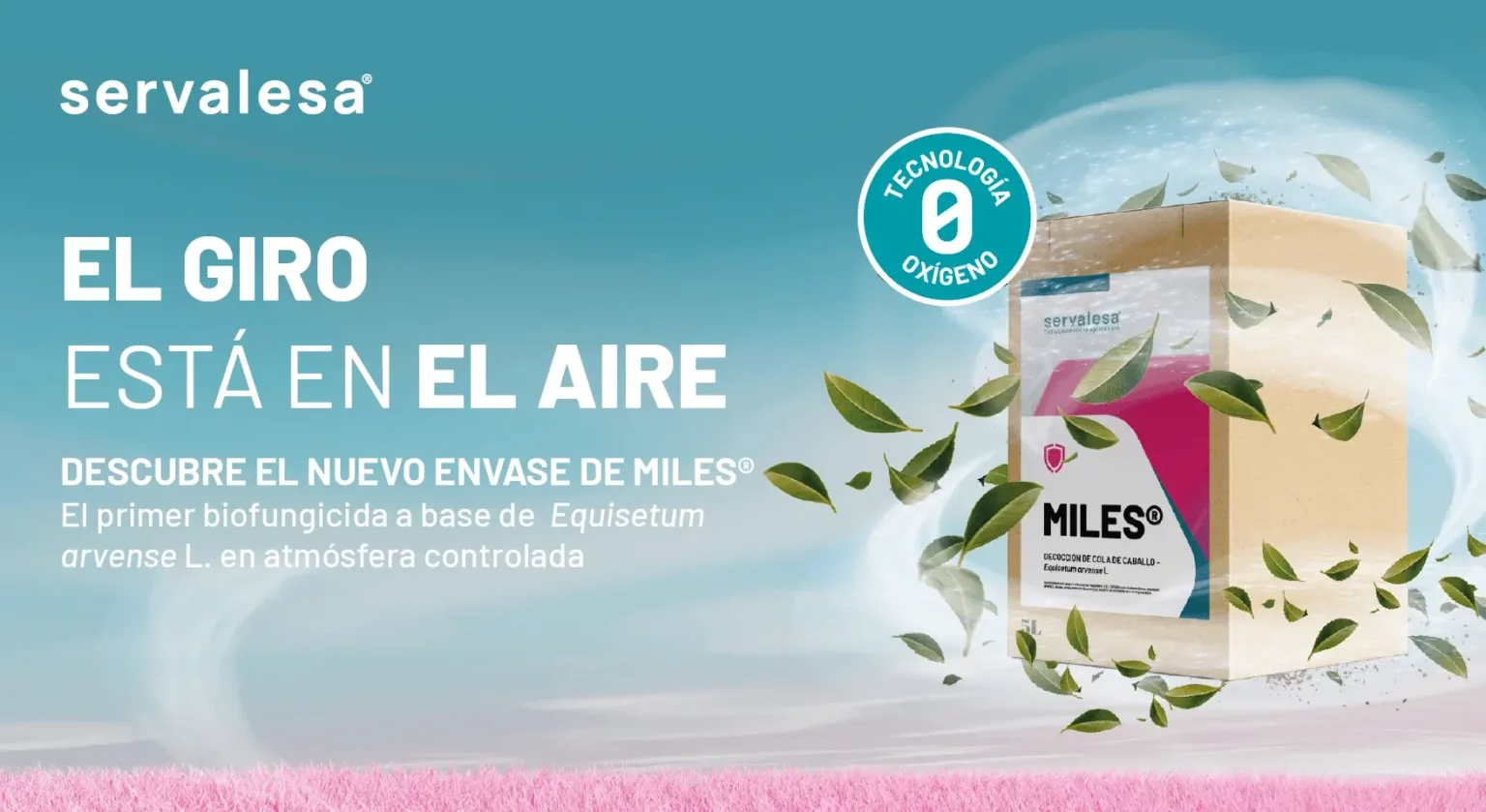 MILES. EL GIRO ESTÁ EN EL AIRE