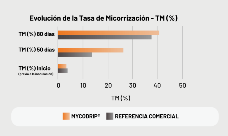 Evolucion-de-la-Tasa-de-Micorrizacion-768x459