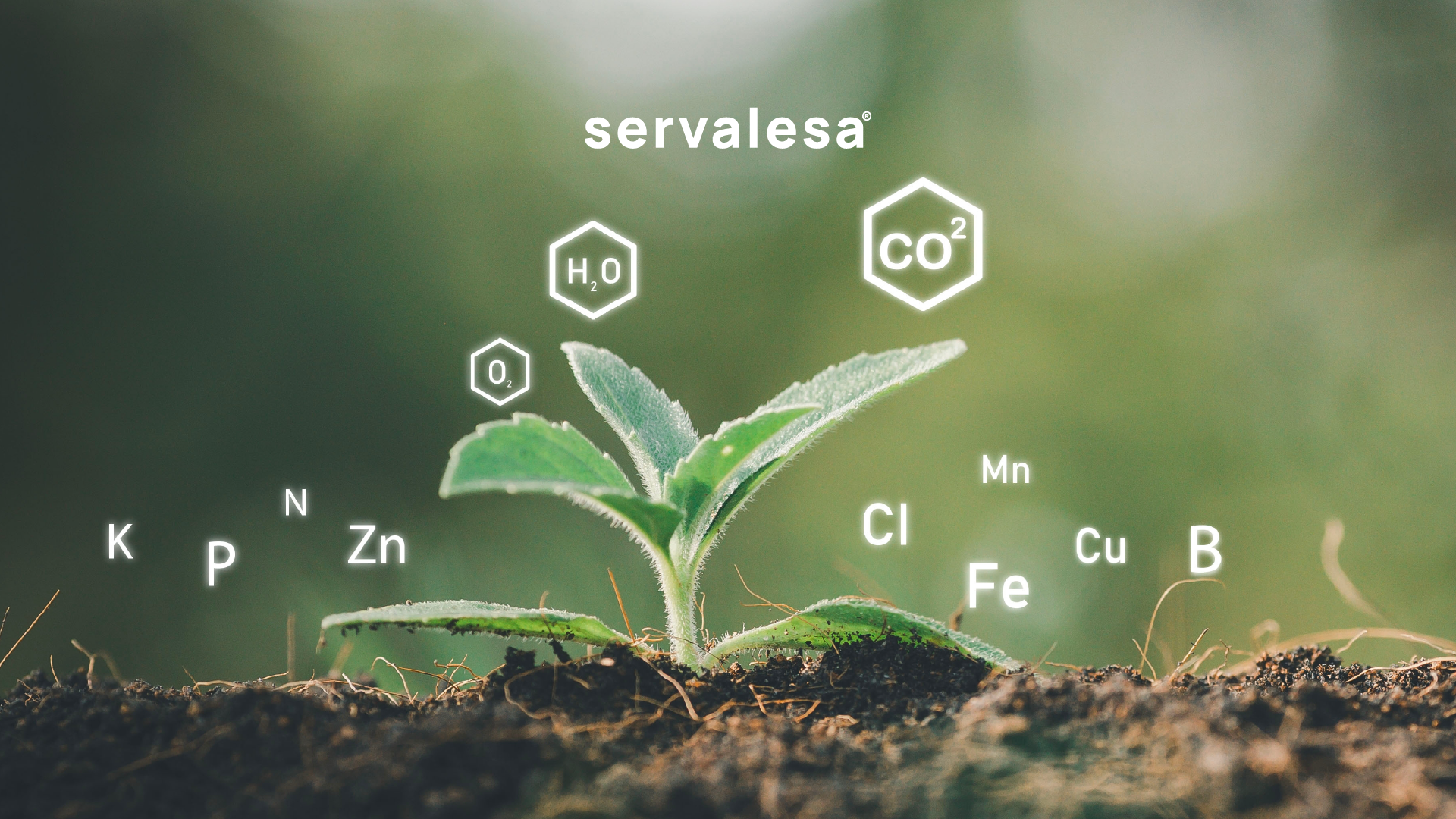 Un agricultor aplicando fertilizante en un campo utilizando maquinaria agrícola, con un fondo de cielo despejado y vegetación en crecimiento.