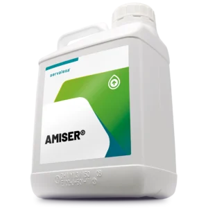 AMISER