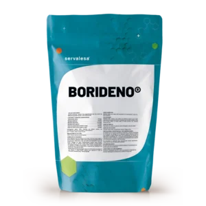 BORIDENO