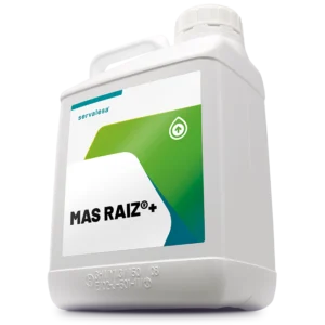 MAS RAIZ+