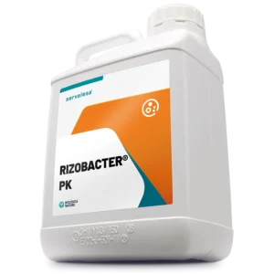 RIZOBACTER PK