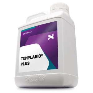 TEMPLARIO PLUS