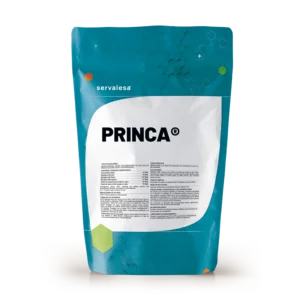 PRINCA