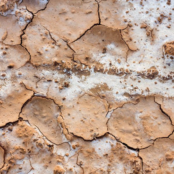 shutterstock_1085400011 copia