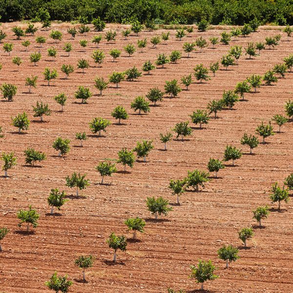 shutterstock_1848462838 copia