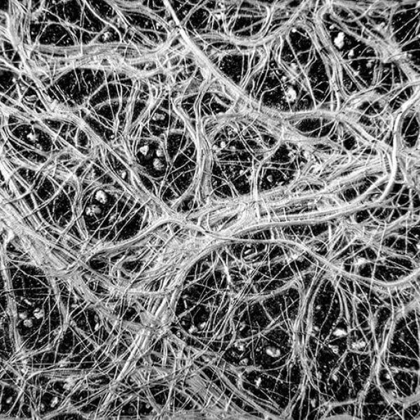 shutterstock_747029230 copia